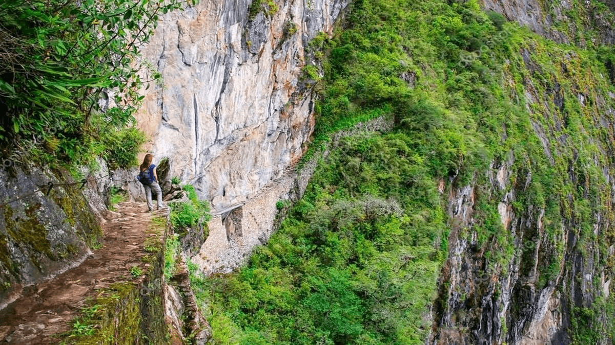 Machu Picchu Circuit 1 or 2 with Inca bridge